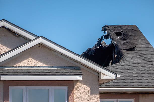 Licensed Content Restoration service in Swedesboro, NJ - Fire Damage Biloxi